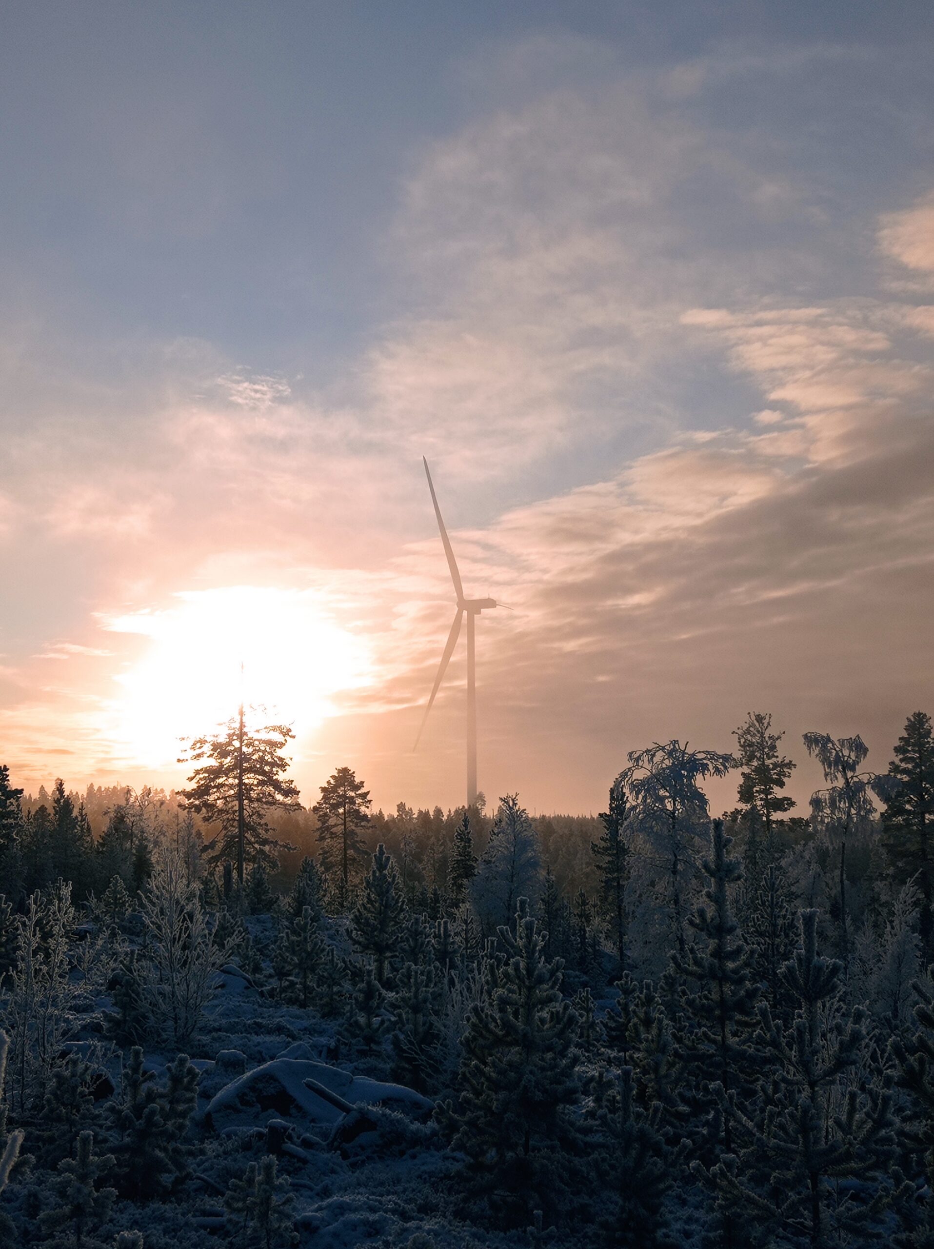 Onshore wind turbine seen through trees at sunrise in a frosty forest landscape.